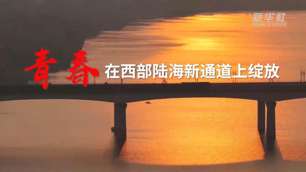 青春,在西部陆海新通道上绽放