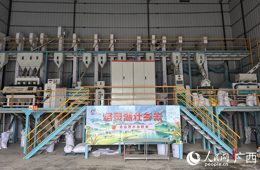 。人民网 付华周摄