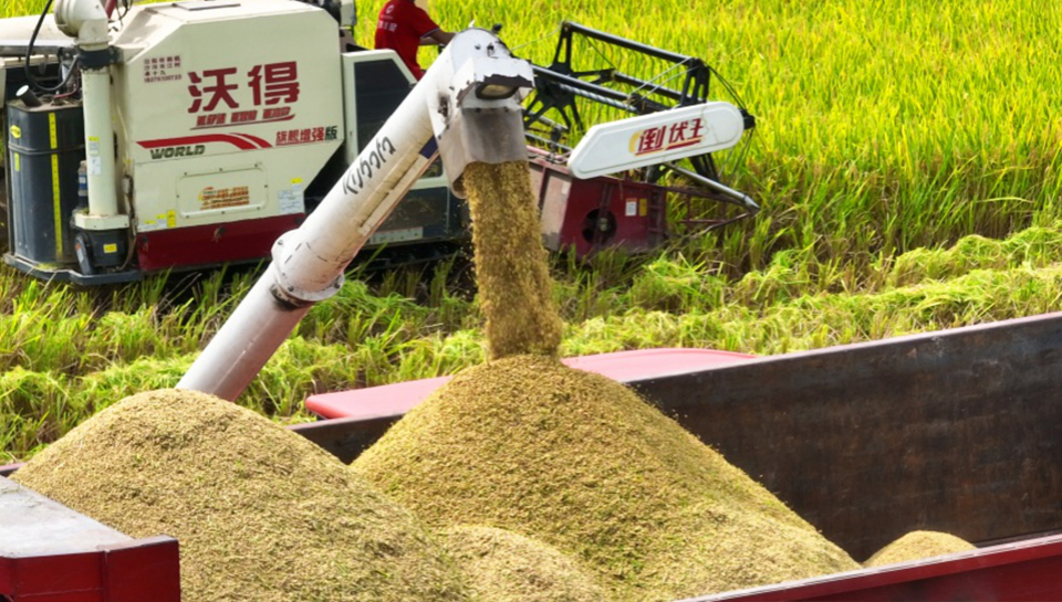 博白：社会化服务赋能早稻生产