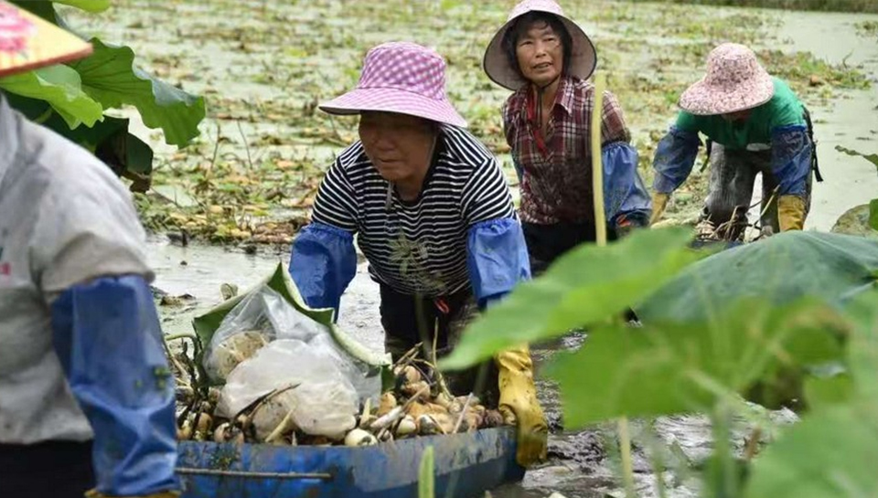 柳江区供销社：“一站式”服务便民又惠民