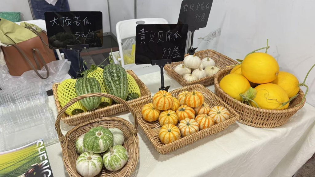 南宁市青秀区开展金秋供销大集活动促消费帮扶