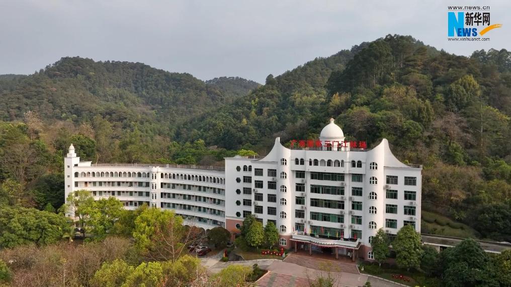 林场巡礼 | 广西国有三门江林场：绿浪翻滚 林下生金