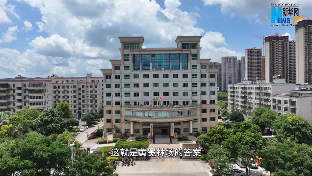 林场巡礼 | 黄冕林场：种好一棵树 做好一杯茶