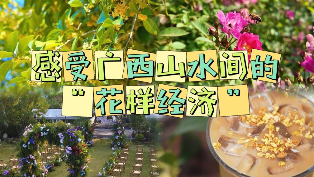 感受广西山水间的“花样经济”