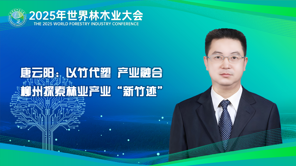 唐云阳：以竹代塑 产业融合 柳州探索林业产业“新竹迹”
