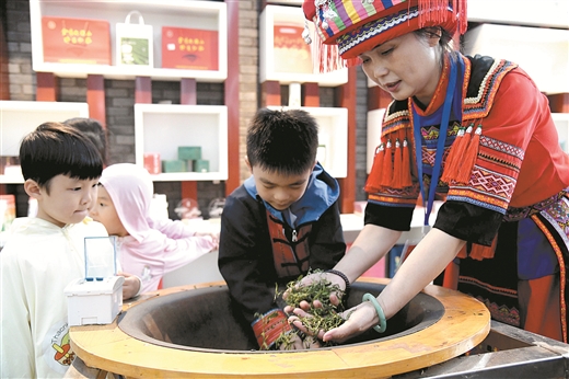 金秀红茶的破茧之路