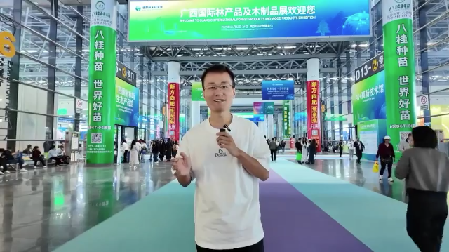Live Exhibition Tour: Guangxi International Forest Products and Wood Products Exhibition 2025