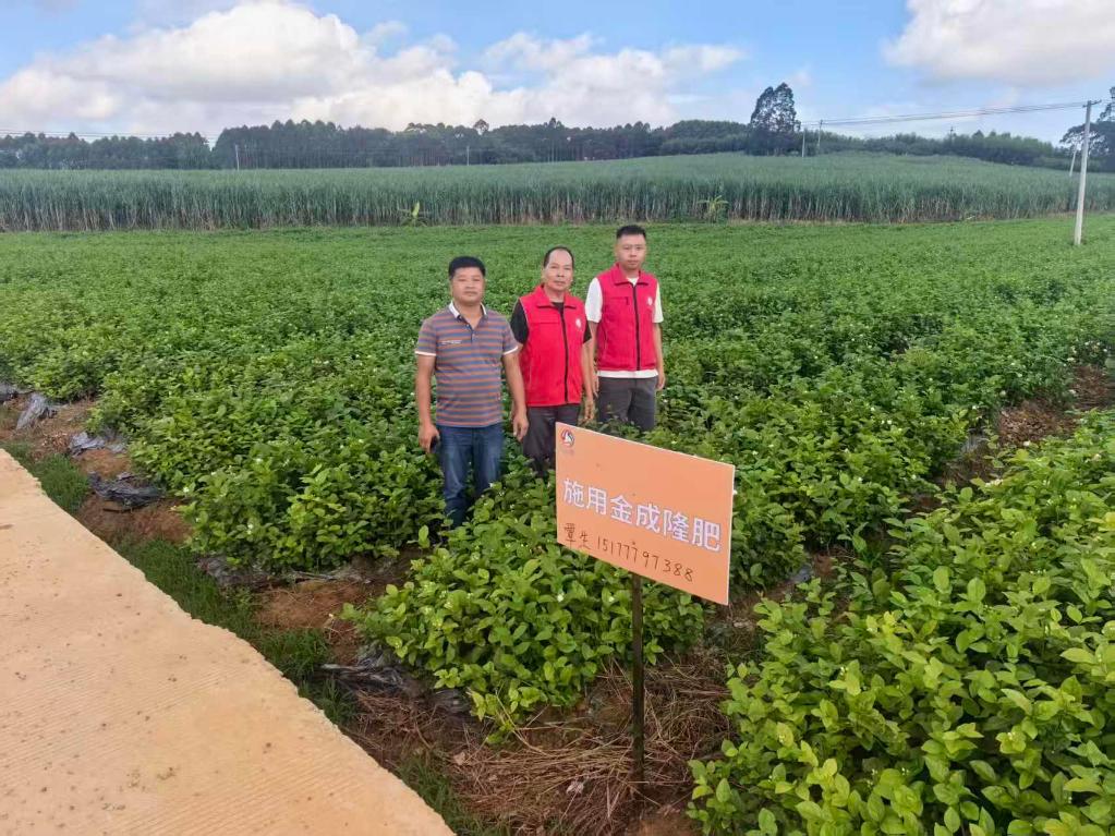 广西横州科技特派员赋能茉莉花产学研合作