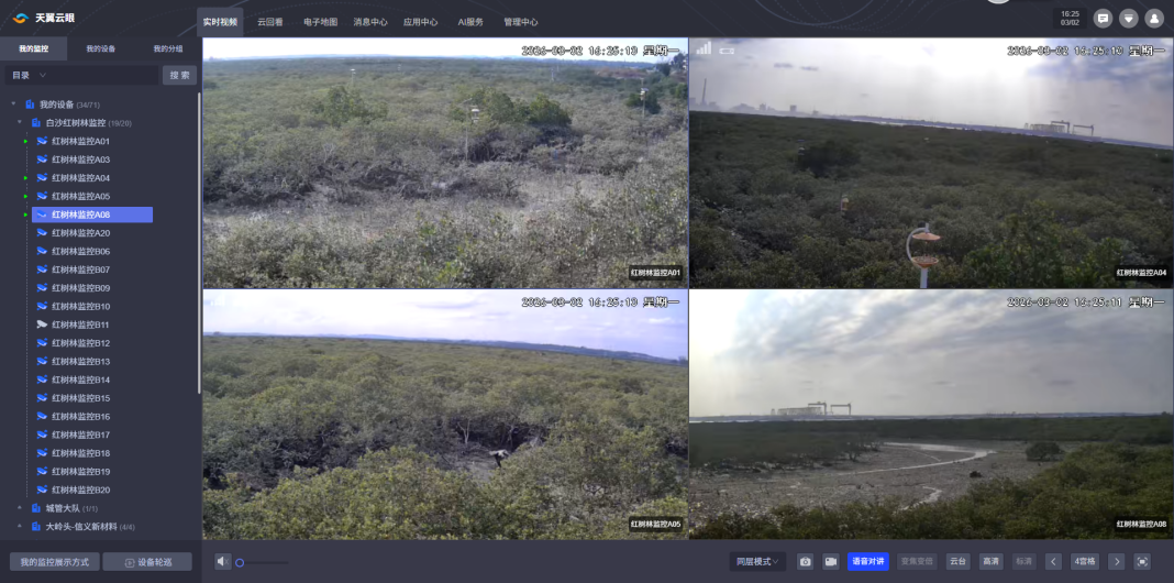 应急响应率大幅提升 北海电信AI“哨兵”筑牢红树林生态防线