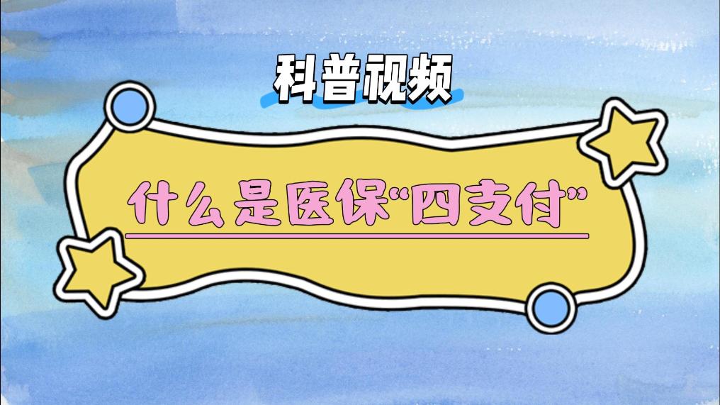 科普视频：什么是医保“四支付”