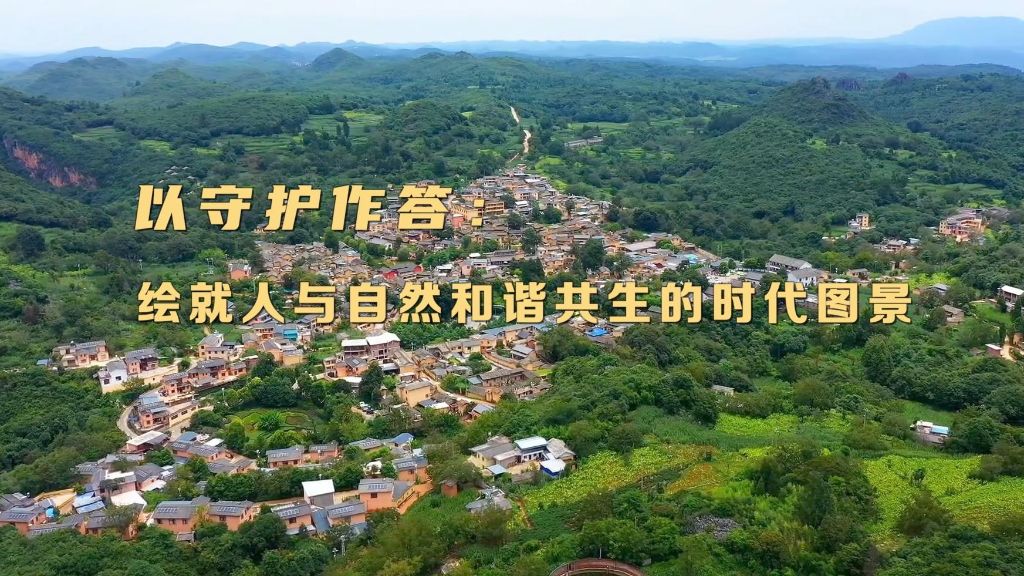以守护作答:绘就人与自然和谐共生的时代图景