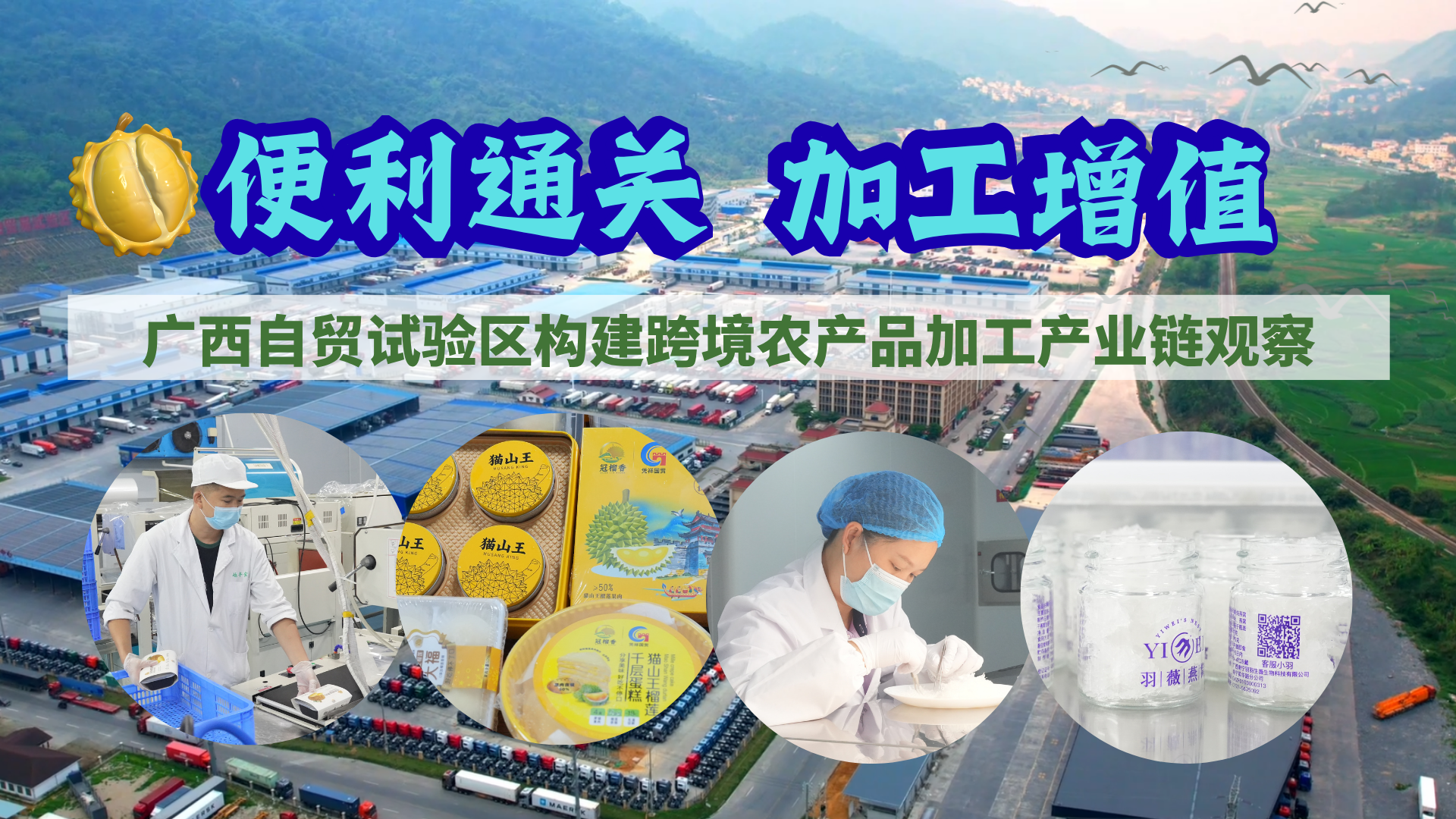便利通关 加工增值——广西自贸试验区构建跨境农产品加工产业链观察