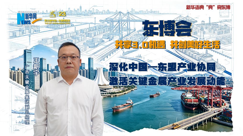 王新宇：深化中国—东盟产业协同 激活关键金属产业发展动能