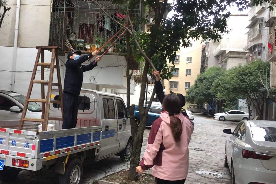 广西大力推行“三微”为民服务新模式解决民生问题-新华网