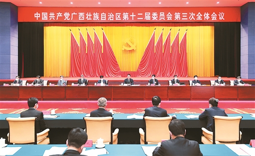 中国共产党广西壮族自治区第十二届委员会第三次全体会议公报 新华网 9216