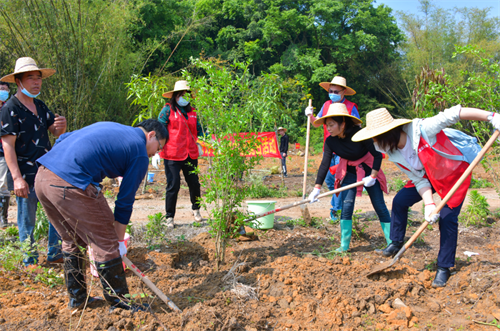 江南区启动春季清理河道及植树活动