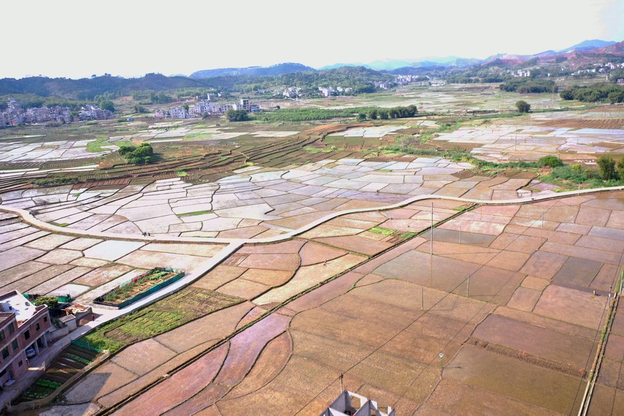 藤县累计建设高标准农田18万亩