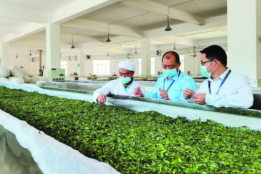 凌云进一步规范茶叶生产经营秩序