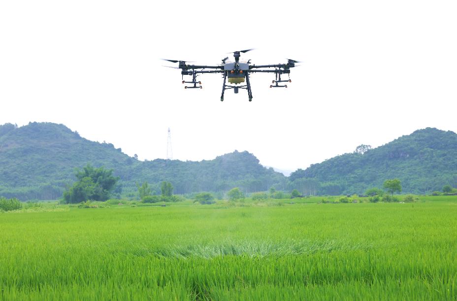 广西柳城：无人机作业 促增产增收