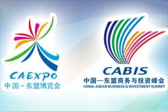 第19届中国—东盟博览会、中国—东盟商务与投资峰会
